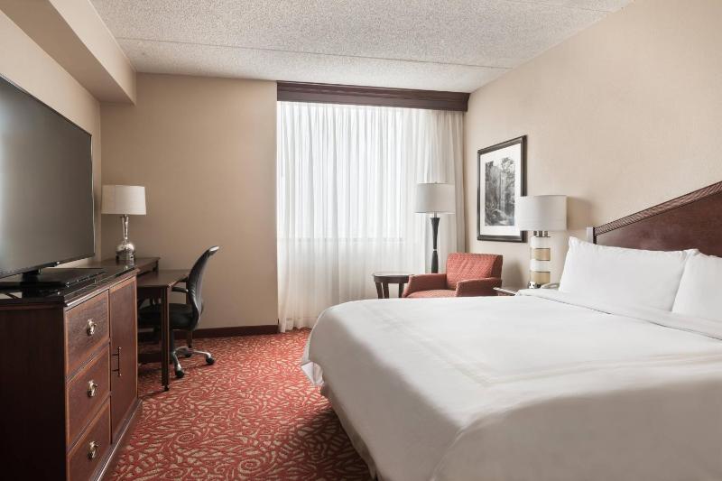 King Suite with Sofa Bed image 3
