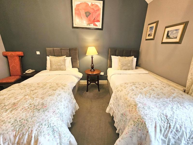 Standard Twin Room image 3