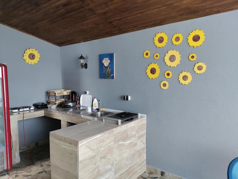 Villa SUNFLOWER - image 11