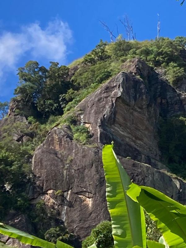 Nature Green Hotels On Rock Home Ella - image 9