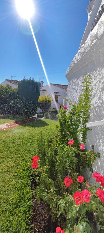 Capistrano Village Leo's Smile House by VG - image 4