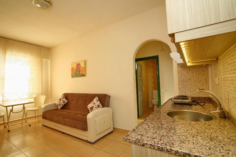 One-Bedroom Apartment image 3