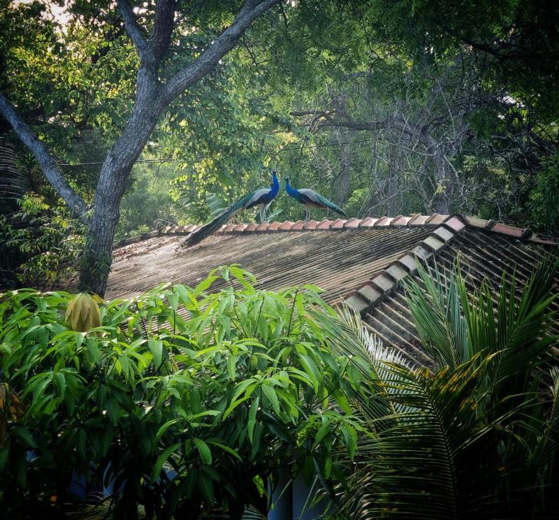 Relax Beach House - image 37
