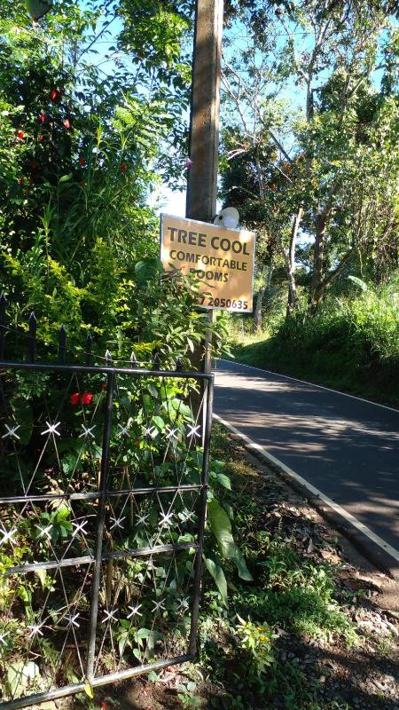 Tree Cool Resort - image 40