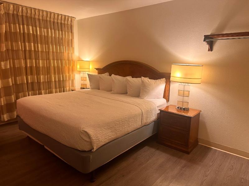 King Room - Non-Smoking image 2