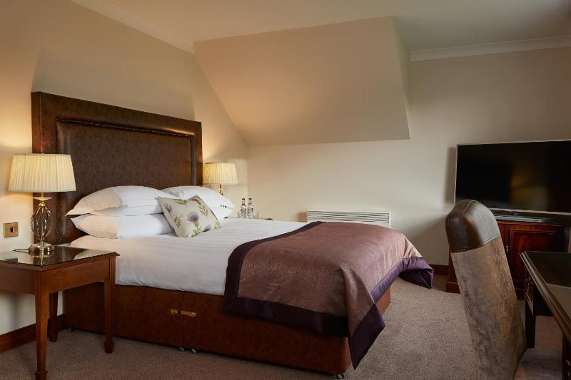 Deluxe King/Twin Room image 1