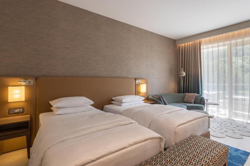Deluxe Twin Room image 4