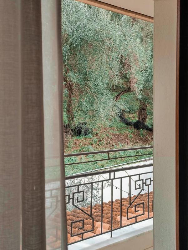 Dracos Hotel - image 34