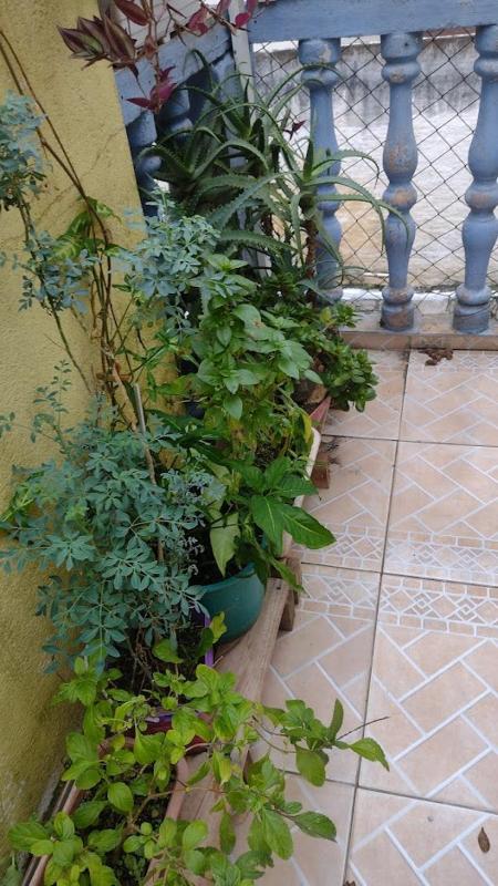 Hospedagem Domiciliar Alternativa - image 4