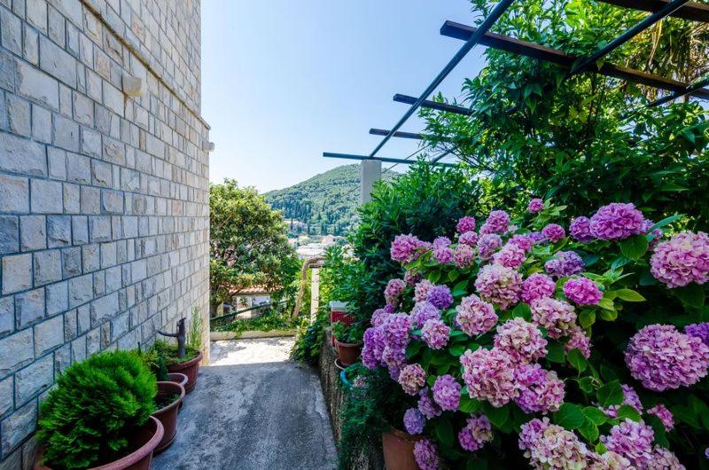 Apartment - Ground Floor image 2