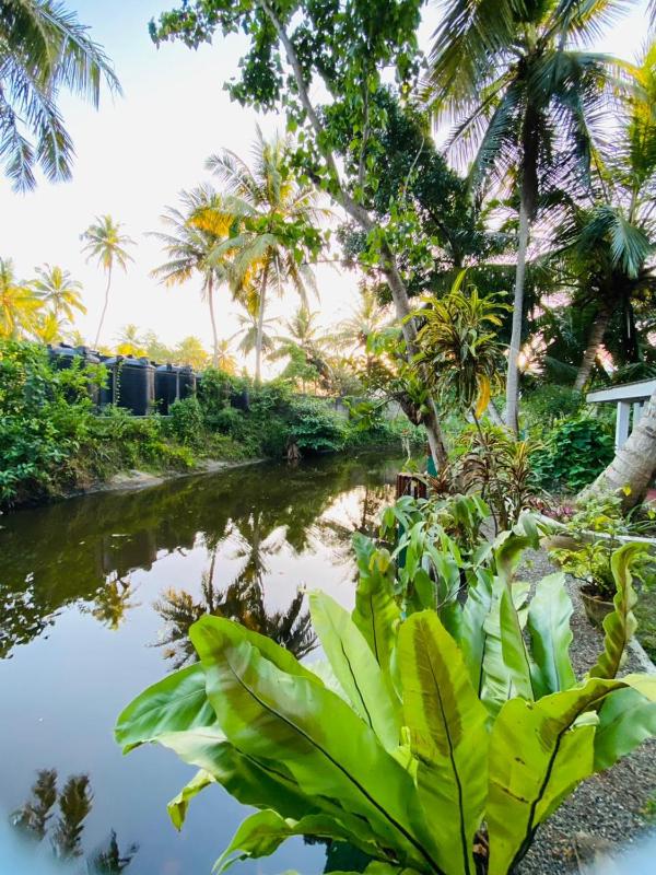 The River Villa - image 20