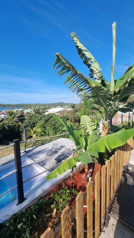 VUE SUR MER - image 5