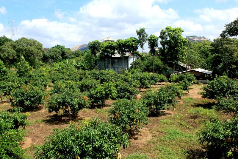 Green Hut Nature Resort - image 8