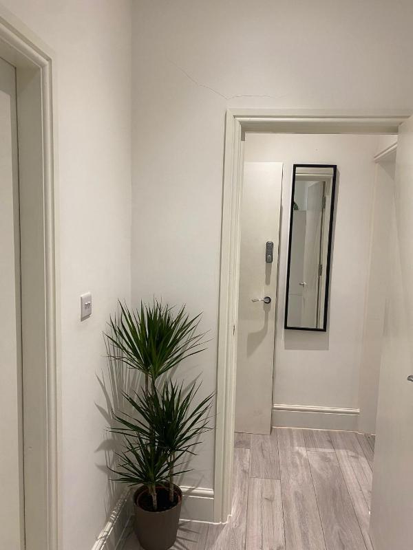 Holiday Plus - Palatine Road - image 19