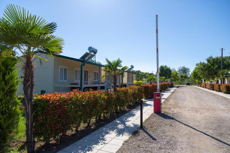 Deluxe Bungalow with Garden View image 4
