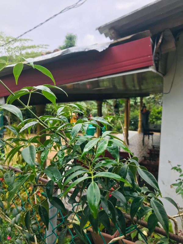 Cinnamon Homestay ella - image 3