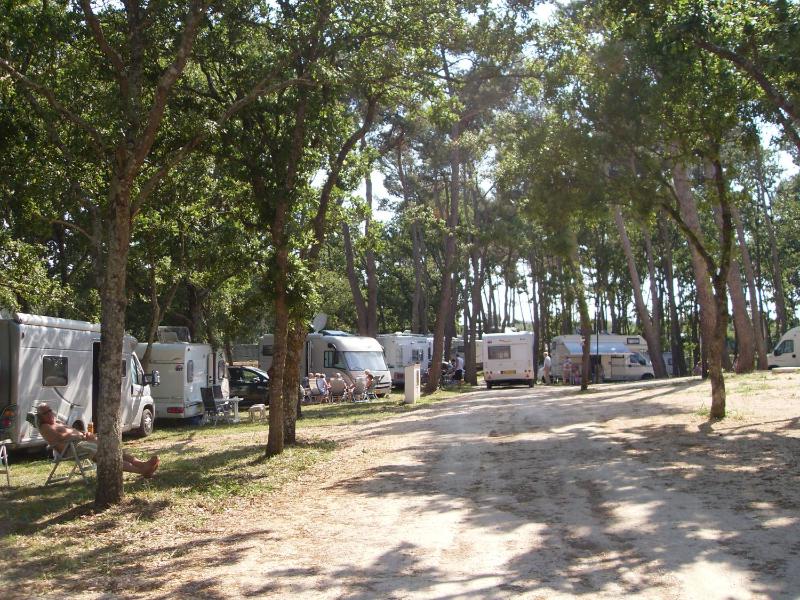 Empty lot (bring you own tent/caravan/camper) image 1