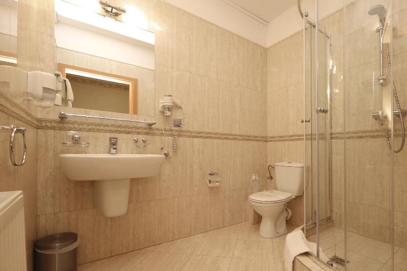 Superior Single Room image 3