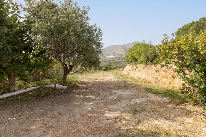 Almarchada 38 - image 20