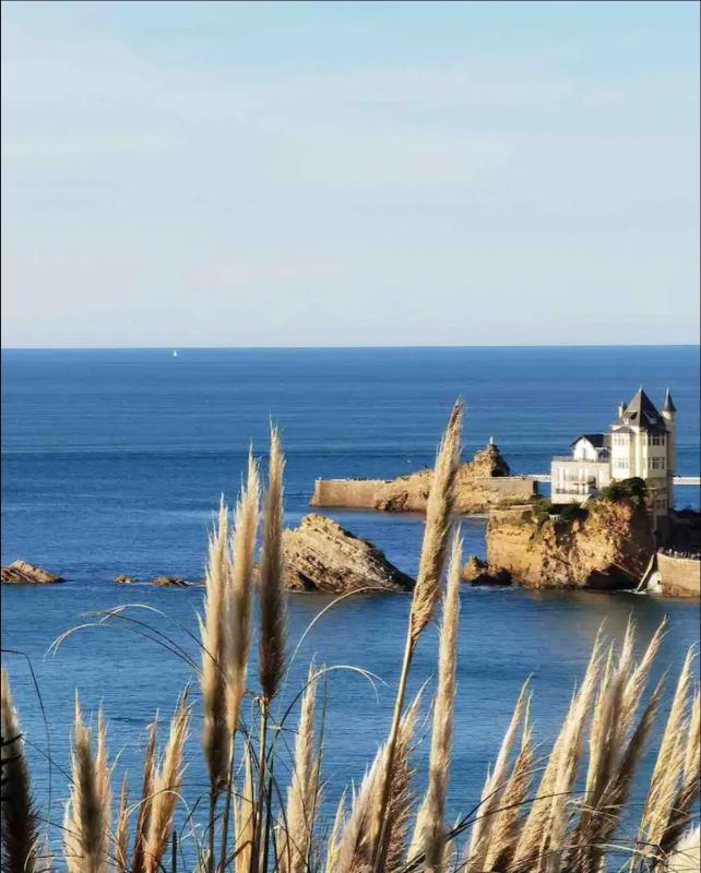 Biarritz Beaurivage - Cote des Basques - Triplex - image 12