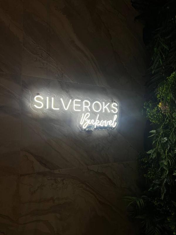 Silveroks Hotel - image 15