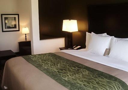 King Suite - Non-Smoking image 1