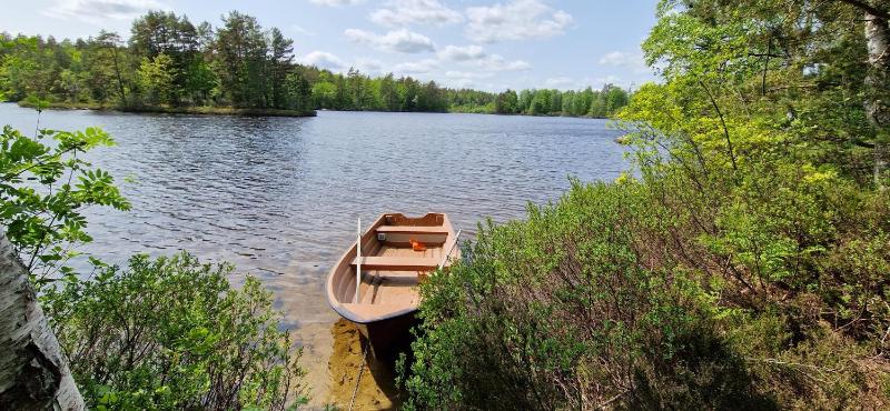 One-Bedroom Cottage (5 Adults) image 2