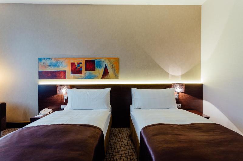 Executive Twin Room image 4