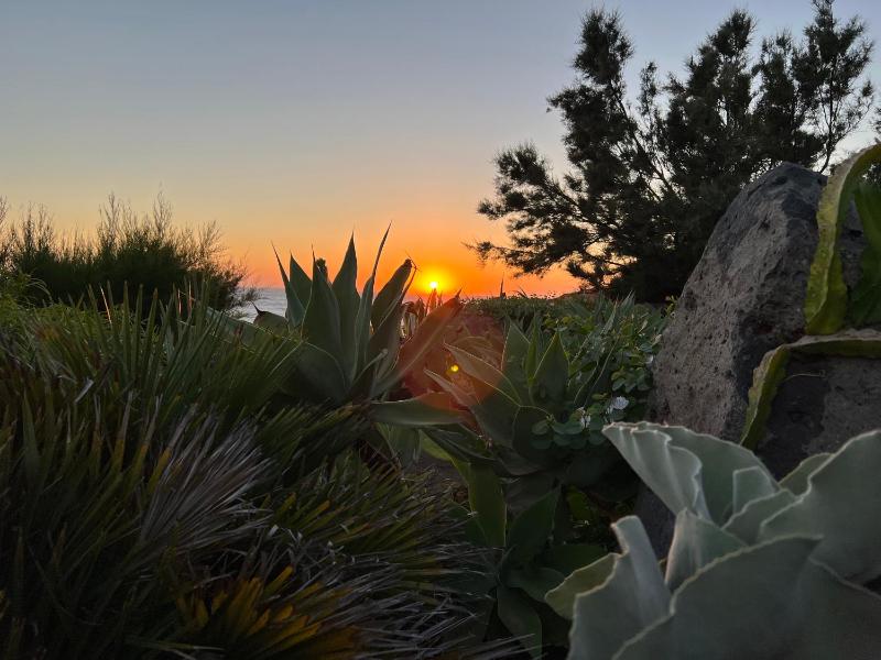 Superior Two-Bedroom Apartment (4 Adults) image 3