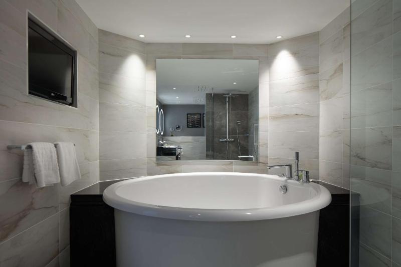 King Executive Suite image 3