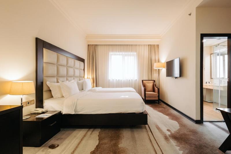 Standard Twin Room image 3