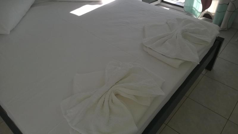 Large Double or Twin Room with Sea View image 4