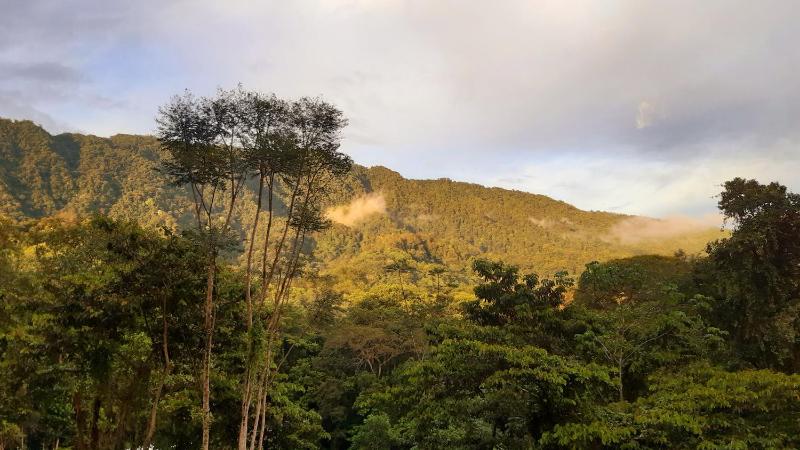 Jungle Passion Lodge - image 7