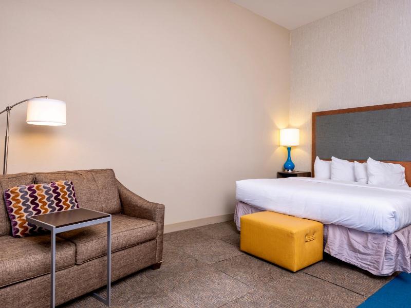 Deluxe King Suite image 4