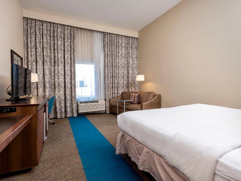 Deluxe King Suite image 2