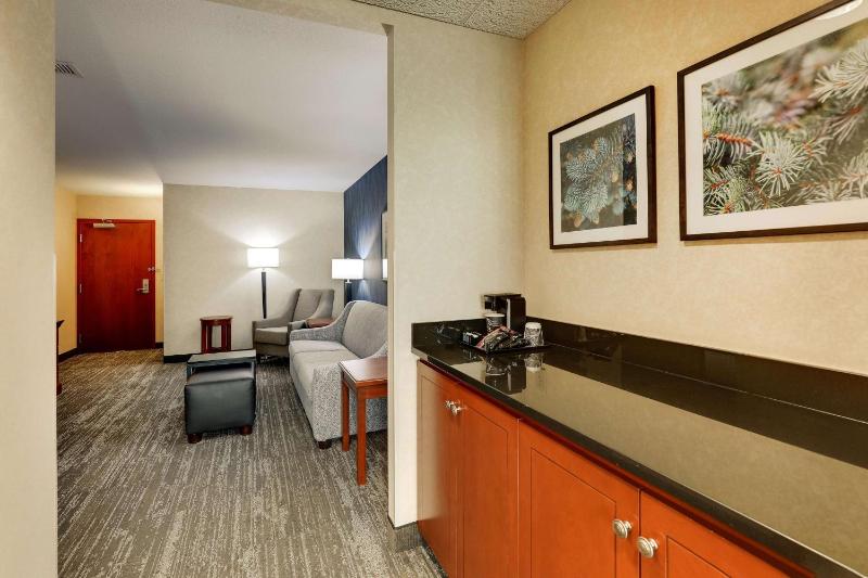 One-Bedroom King Suite with Sofa Bed image 3