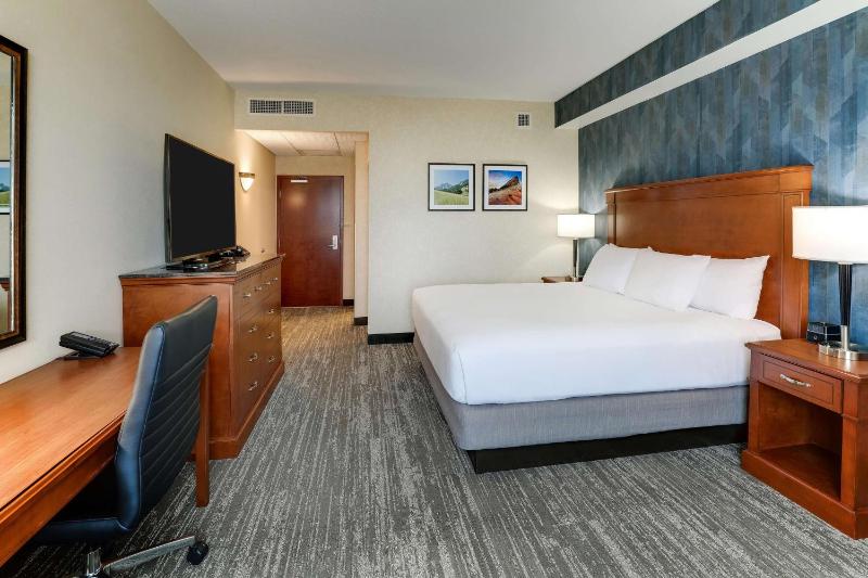 Deluxe King Room image 3