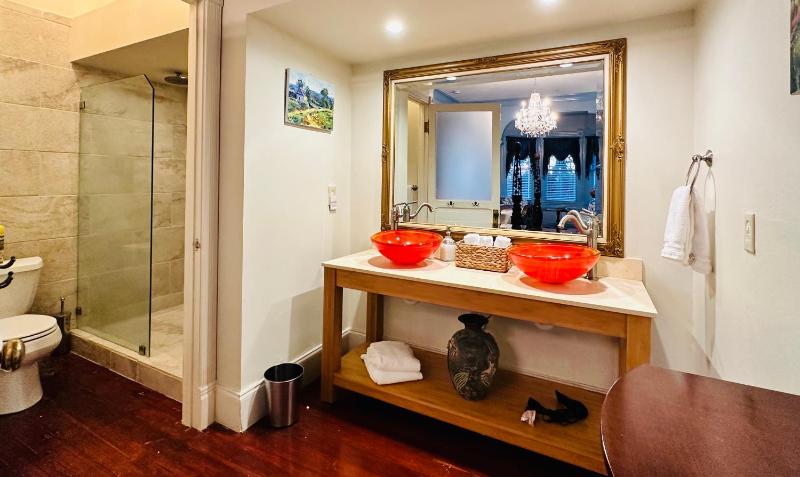 King Suite with Balcony image 4