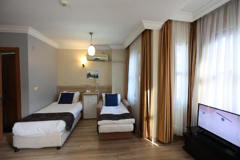 Arven Hotel - image 2