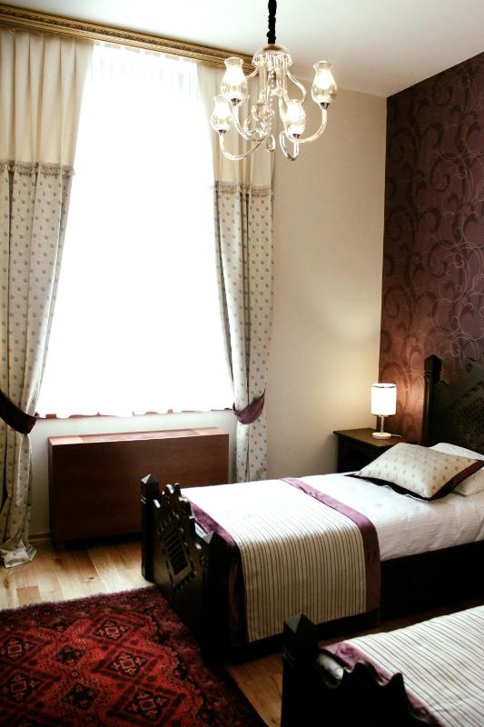 Standard Twin Room image 3