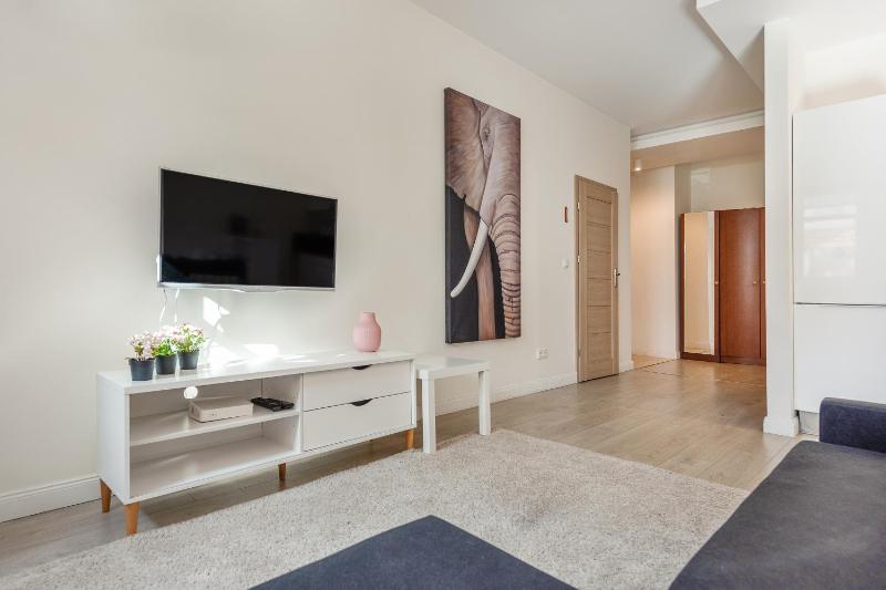 Meiguan with huge Terrace + extra 2 parking spots - image 10
