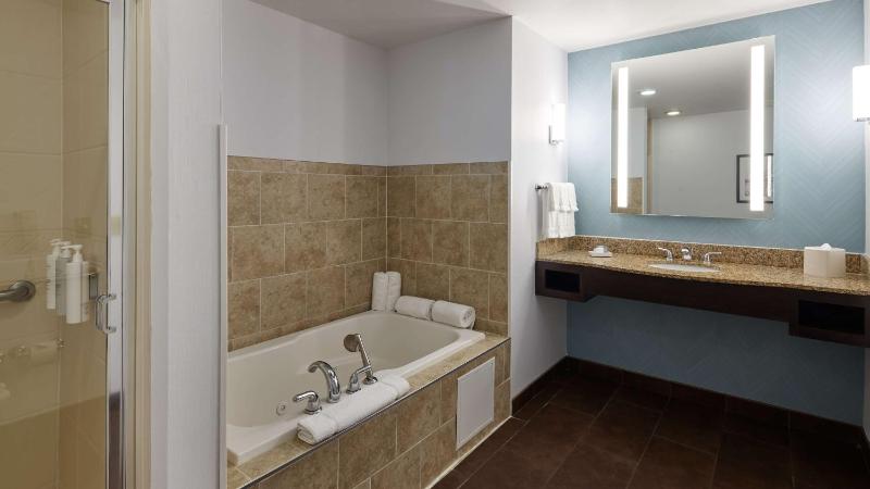 One-Bedroom King Suite image 2