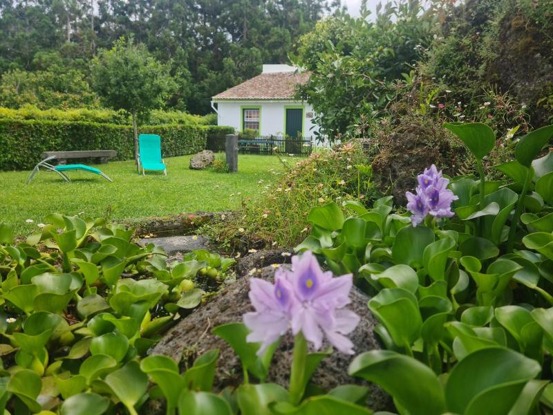 One-Bedroom Holiday Home image 1