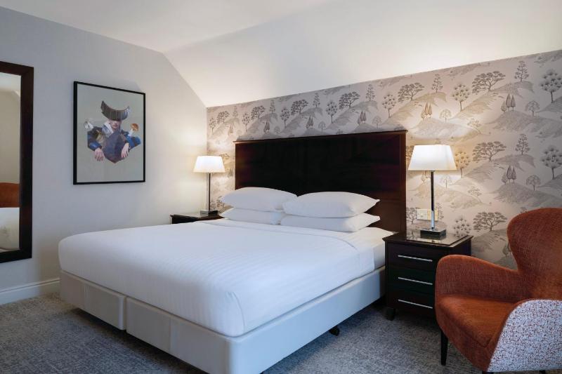 Deluxe King Room image 4