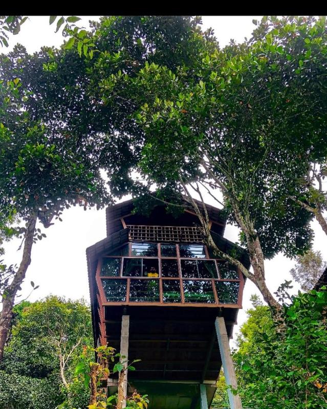 Tree House Wayanad - image 2