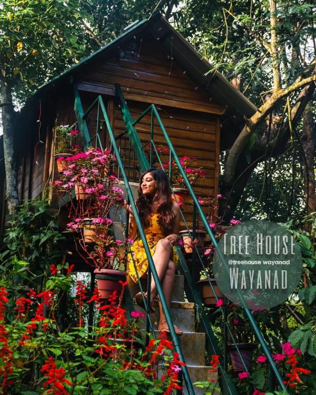 Tree House Wayanad - image 16