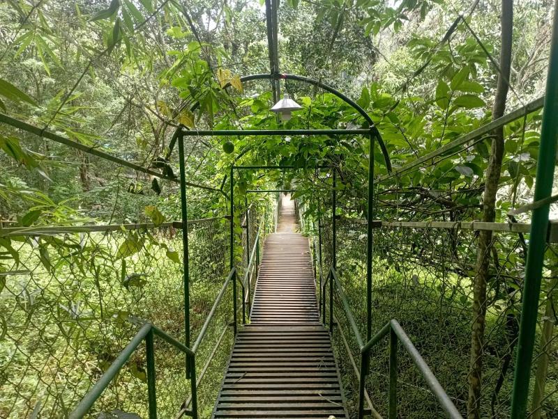 Tree House Wayanad - image 29