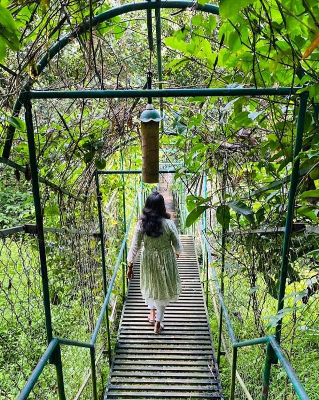 Tree House Wayanad - image 24