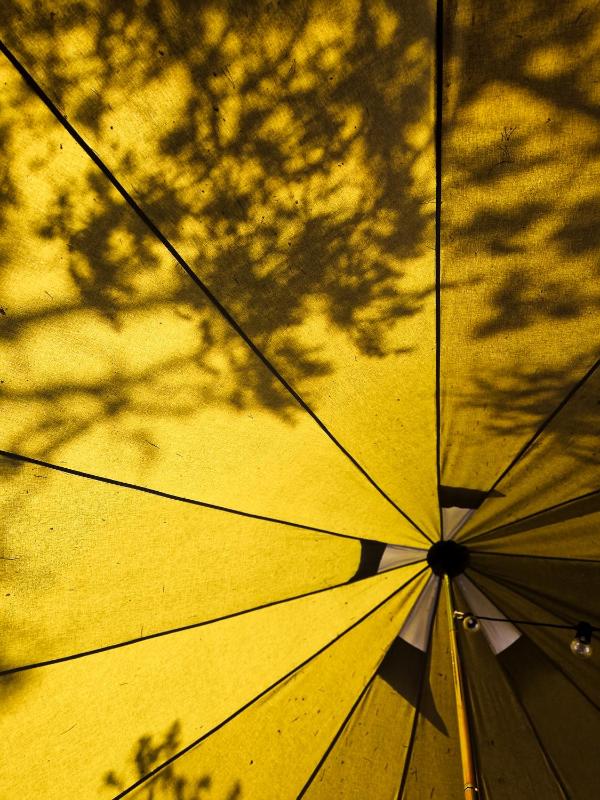 Tent image 4