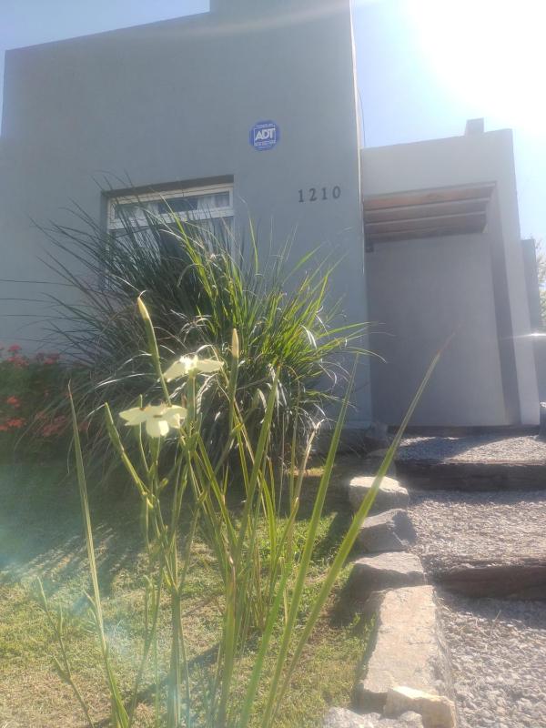 Los nogales - image 23